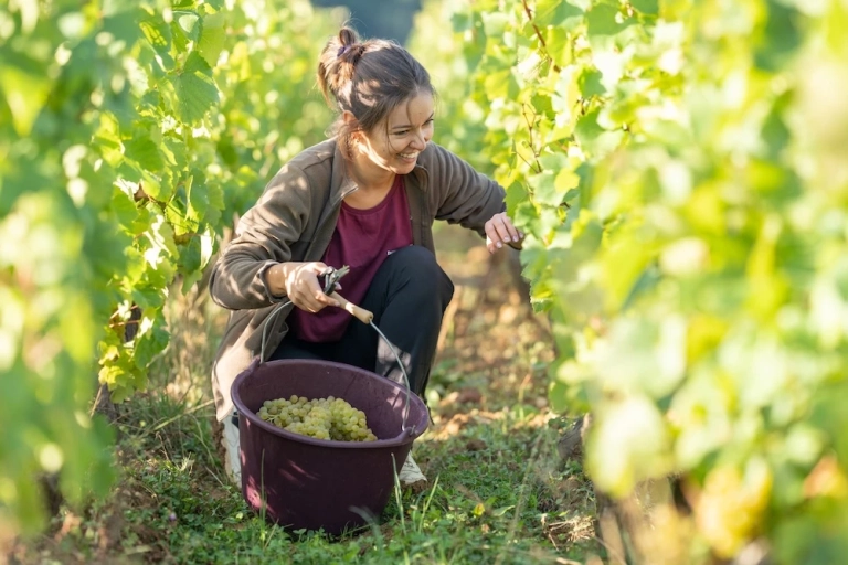 reportage photo pour entreprise à Beaune 8